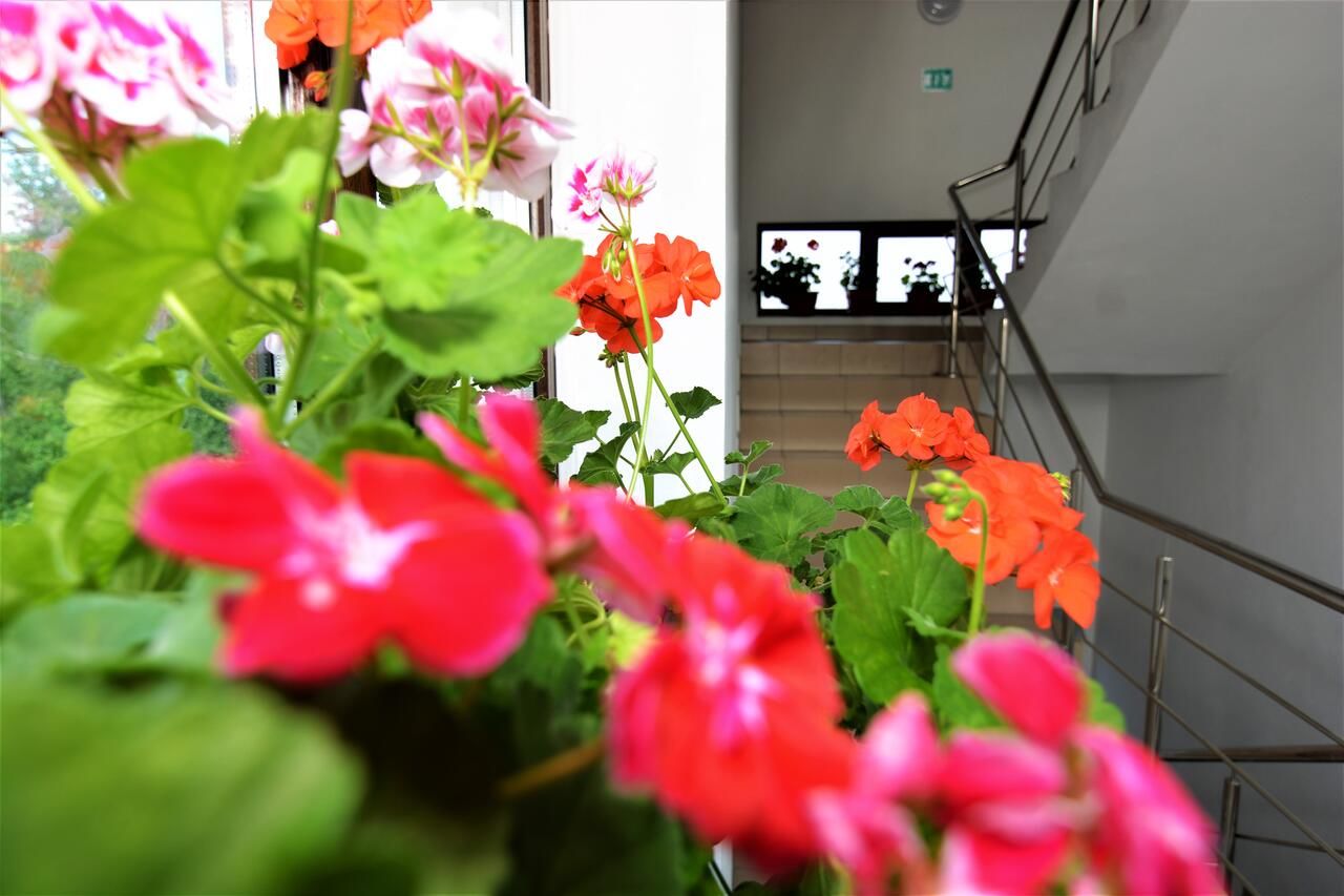 Проживание в семье Casa Miraj Кэлимэнешти-10